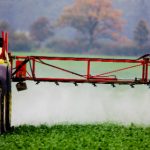 German chemical giant in talks to buy Monsanto