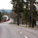 Sweden’s lost forest language gets international recognition