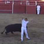 Spaniard dies after being gored in the heart at fiesta