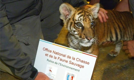 French drug dealer 'charged €5 for selfie with tiger cub'