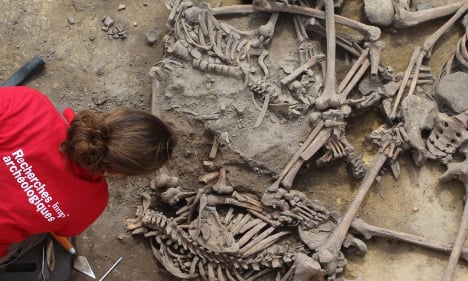 France digs up bones from 6,000-year-old 'massacre'