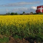 World still loves Denmark despite negative attention
