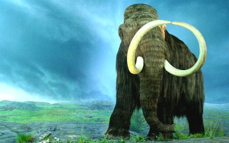 Seven-year-old finds woolly mammoth bone near River Po