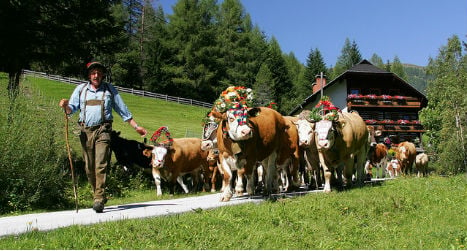 Six unique traditions that Austrians love to love