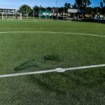 Swedish football pitch defaced with swastika