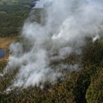 Norwegian plane spots huge Swedish forest fire