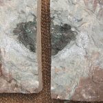 Mystery ‘extinct’ space rock found in Sweden