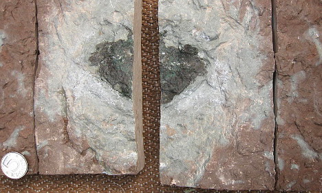Mystery ‘extinct’ space rock found in Sweden