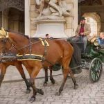 No work for Vienna’s fiaker horses during heatwaves