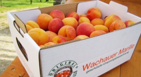 Five dishes to enjoy this apricot season in Austria