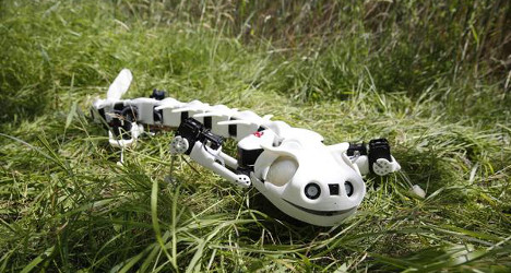 Salamander robot helps Swiss scientists in spinal research