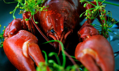 Crayfish poachers send Swedes' blood boiling