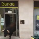 Bull pops into high street bank during Spanish fiesta