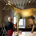 Napoleon’s last horse to strut his stuff after makeover