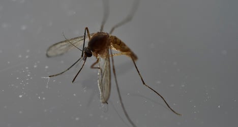 First baby in Europe with Zika defects born in Spain