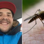 This Swede is the world’s best mosquito catcher