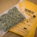 Cannabis confiscation up threefold in Norway