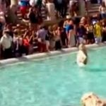 Ekberg wannabe dragged out of Rome’s Trevi Fountain