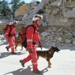 The incredible hero dogs of Italy’s earthquake