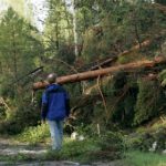 Winds leave thousands of Swedes without power