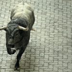 Bull fatally gores Spaniard through the neck at fiesta