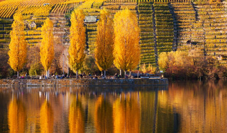 15 pics that prove Germany is totally enchanting in autumn