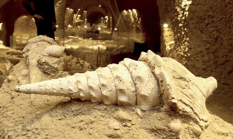 The ancient underground shells flavouring France's Champagne