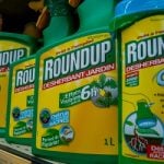 Swiss refuse to ban controversial weedkiller