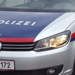 Driver in Vienna ‘shouting Allahu Akbar’ tries to run over pedestrians