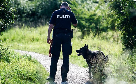 Body parts of dead Danish gangster found in forest