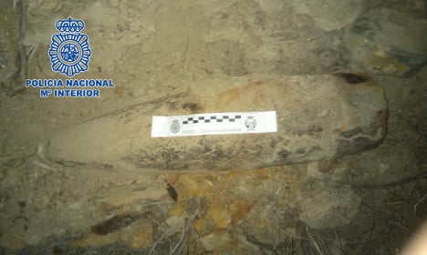Spanish man digs up Civil War bomb during fossil hunt