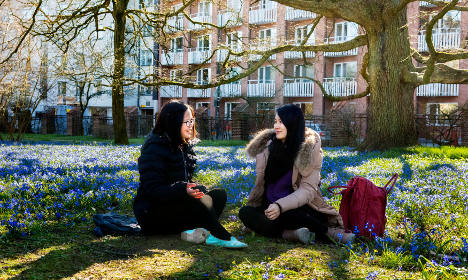 Three Swedish universities earn spots in top 100