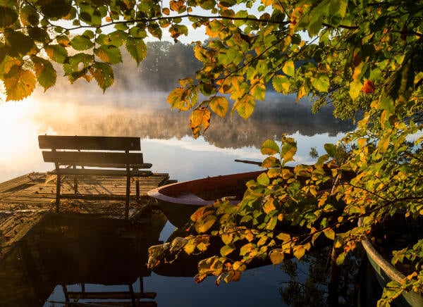 15 pictures that prove Germany is absolutely enchanting in autumn