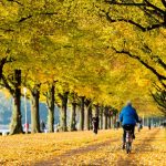 Biking through the trees in Hanover.Photo: DPA