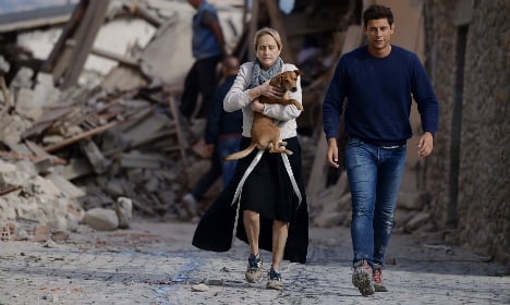 Romeo the miracle dog survives Italy quake