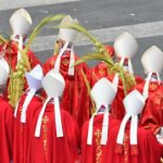 Cardinals protest St Peter’s Square McDonald’s