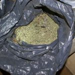 Cannabis worth millions seized at Swedish port