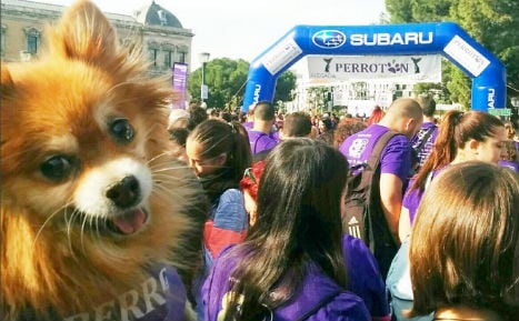 Thousands run with dogs in Madrid to fight against cruelty