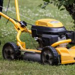 Swede fined for harassing his neighbour with a lawnmower