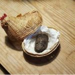 Danish bog mummy’s missing toe returned after 60 years