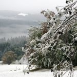 Snow on the Feldberg in the Black Forest.Photo: Photo: DPA