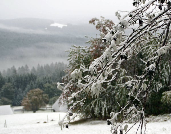 In pictures: Germany’s first snowfall of the season