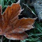 Winter is coming: first frost hits Swiss cities