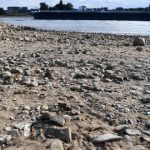 Rhine river’s low water levels causing ships to run aground