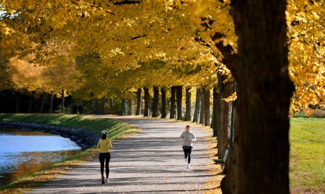 Top six things to do in Stockholm in the autumn