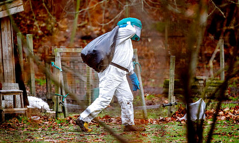 Exports threatened after bird flu found in Danish poultry