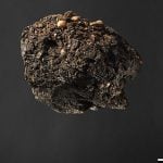 300-year-old turd offers insight into Denmark’s past