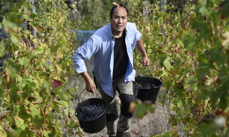 How an 'extreme' winemaker from Japan made it in France