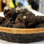 ‘Unprecedented’ black truffle shortage hits Dordogne