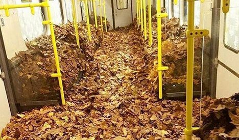 U-Bahn train found filled with autumn foliage in Berlin